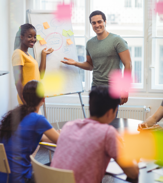 Programa de Liderança Global